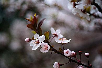 乌克兰矿场发现3800台PS4 专门挖FIFA FUT金币